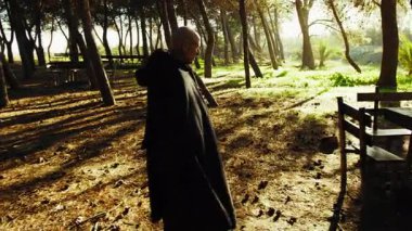 Ormanda Yürüyen Bir Büyücünün Güneş Işığı.