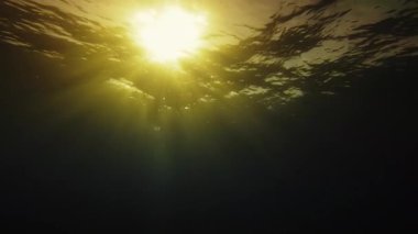 Tanrıların Işıkları Duyuların Huzuruyla Su Altındaki Uçurumu Geçer.