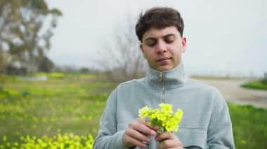 Yerden Sarı Çiçekleri Seçen ve Toplayan Adam . 