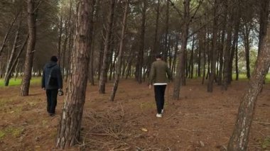 Doğal bir parkta, Baba oğluyla birlikte ağaçların arasında yürür..