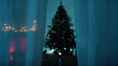 Bir evin perdesinin arkasından görülen Noel Ağacı.