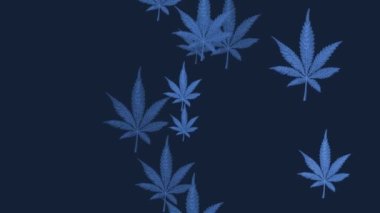 Hemp leaves appear in the background, animation changes colors, looping abstract video in 4k resolution