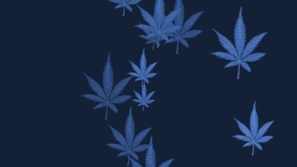 Hemp Leaves Appear Background Animation Changes Colors Looping Abstract Video — стоковое видео