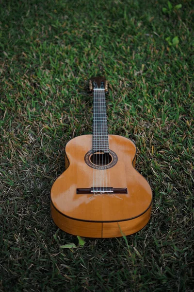 Tiro Guitarra Isolada Deitada Grama Parque — Fotografia de Stock