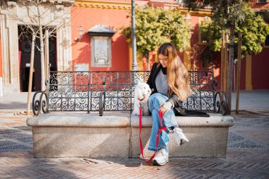 Güneşli bir günde beyaz köpeğiyle bankta oturan genç bir kadın. Şu anda ona bakıyor..