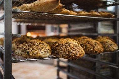 Bir fırının metal rafında soğuyan bir sürü tohum ekmeği.