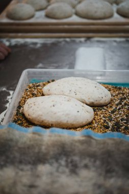 Çiğ tohum hamuru, tohum dolu konteynıra bandırılıyor, fırında.