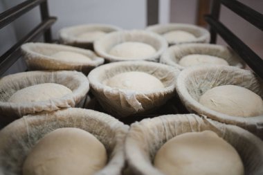 Fırınlanmadan önce banneton kaselerinde birkaç ekmek hamuru.