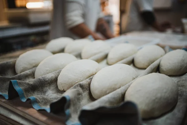 Yuvarlak Şekilli Ekmek Doughs Bir Fırında Dolu Bir Kanepede Dinleniyor — Stok fotoğraf