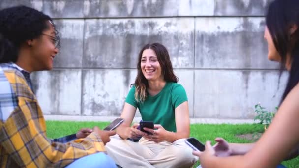 草の上に座っている間 大学生の女の子はお互いに話しています — ストック動画