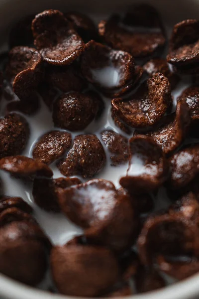 Nærbilde Sjokolade Mais Flak Korn Med Melk Frokostkonsept – stockfoto