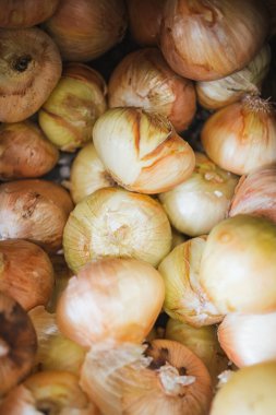 Şili 'de bir meyve dükkanında taze beyaz soğan. Arkaplan.