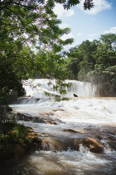 Meksika, Chiapas 'taki Agua Azul şelalelerinin dikey çekimi..