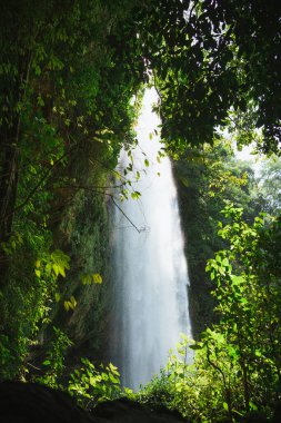 Chiapas, Meksika 'daki orman yapraklarıyla çerçevelenmiş Misol Ha şelalesi.