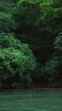 Chiapas, Meksika 'daki Sumidero Kanyonu' nda yağmur ormanları ve su.