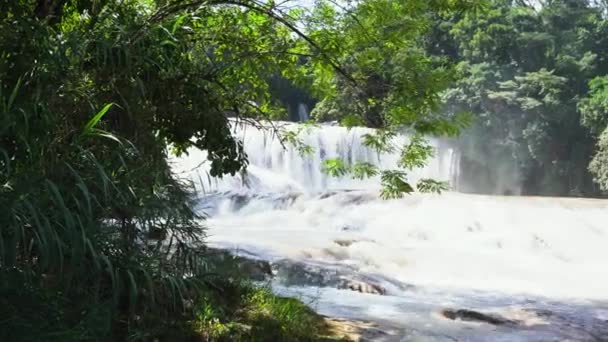 Φωτογραφία Του Όμορφου Agua Azul Cascades Στο Chiapas Μεξικό — Αρχείο Βίντεο