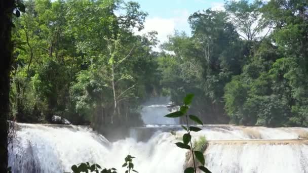 Água Descendo Cachoeiras Água Azul Chiapas México — Vídeo de Stock