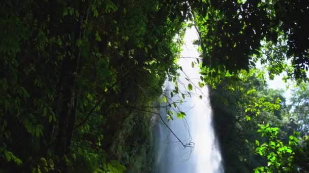 Tiro Misol Cachoeira Emoldurada Por Folhas Selva Chiapas México — Vídeo de Stock