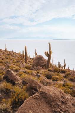 Salar de Uyuni 'deki Incahuasi adası tuz düzlükleri, Bolivya
