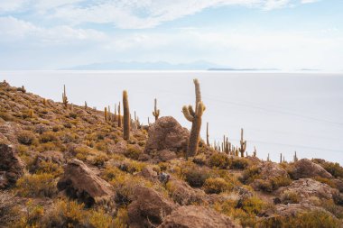 Salar de Uyuni 'deki Incahuasi adası tuz düzlükleri, Bolivya