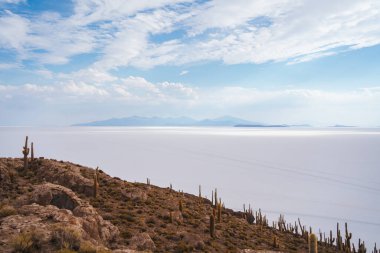 Bolivya 'nın İncahuasi adasının tepesinden Salar de Uyuni tuz düzlüklerinin manzarası