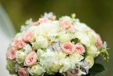Beyaz, pembe ve fildişinin tonlarında güllerle bembeyaz bir gelin buketi. Yumuşak yeşillik ve narin çiçeklerle bezenmiş..