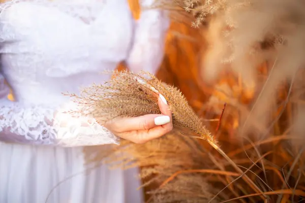 Eli yakın plan altın buğday saplarını nazikçe tutan dantel bir elbise, sıcaklığı, bolluğu ve yeni başlangıçları sembolize eder..