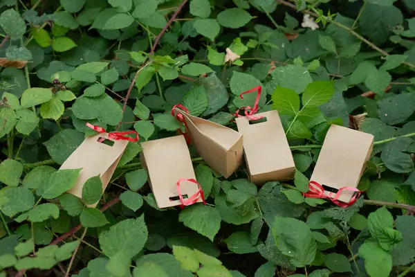 Doğadaki yeşil yaprakların üzerine yerleştirilmiş kırmızı kurdeleli birkaç Kraft kağıt torbası. Çevre dostu yaşam tarzı ve sıfır atık ambalaj kavramı.