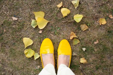 Sarı ayakkabılar kuru çimenlerin üzerinde ve dağınık sonbahar yaprakları.