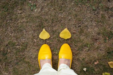 İki kalp şeklinde sonbahar yapraklı sarı ayakkabılar kuru çimenlerin üzerine konur..