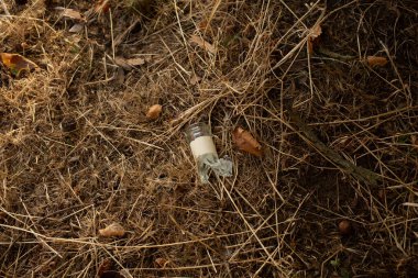 Parktaki bankın yanında duran boş cam şişe kirliliği ve çevresel ihmali simgeliyor..