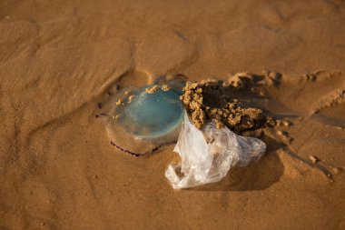 Deniz anaları kumun üzerinde plastik torbayla dolaşıyorlar ve okyanus kirliliğinin tehlikelerini gösteriyorlar.