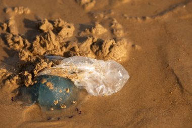 Plastik torba kumsalda bir denizanasıyla dolanıyor. Okyanus kirliliği ve deniz yaşamı üzerindeki insan etkisini simgeliyor..