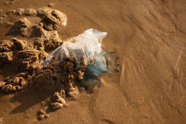 Kirlenmiş bir deniz kıyısında plastik torba ve kumla kapana kısılmış denizanası..