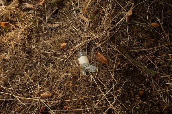 Parktaki bankın yanında duran boş cam şişe kirliliği ve çevresel ihmali simgeliyor..