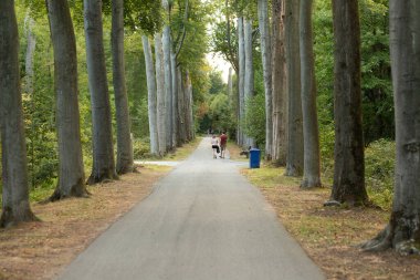 Uzun simetrik ağaçların uzun perspektifli görüntüsü bir tünel etkisi yaratıyor ve bir çift uzaklarda yürüyor. Huzurlu açık hava yaşam tarzı anı.