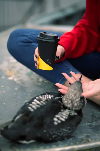 Avlanma ağına dolanmış cansız kuşun yanındaki siyah eko bardağın yakın çekimi, sembolik çevresel kirlilik kavramı, tasarım için model olarak kullanışlı.