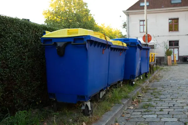 Bir kaldırım taşı sokağında sarı kapaklı mavi geri dönüşüm kutularına daha yakından bakın.