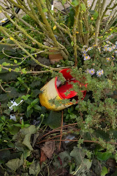 Zarar görmüş plastik bir saksı Çiçek açan bitkilerin yakınındaki çalılıklara atılmış.