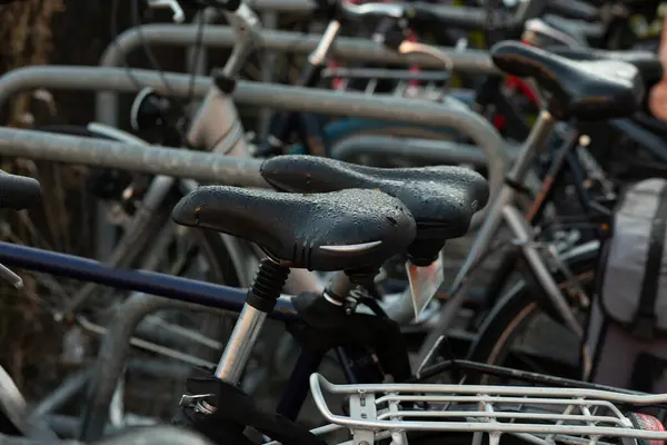 Bisiklet parkında yağmurdan sonra su damlalarıyla kaplı bisiklet koltuklarının yakın çekimi.