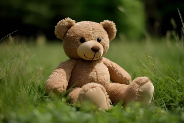 Teddy bear sitting on a floor and on green grass on wodden and nature background