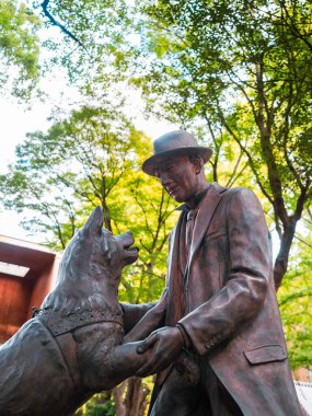 Tokyo Üniversitesi 'nde Tokyo Japonya Anıtı' nda Hachiko heykeli Japonya seyahati: Tokyo, Japonya - 20 Kasım 2024 
