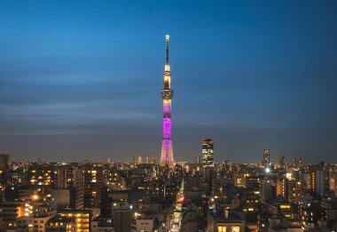 Tokyo gökağacı sahne aydınlatması Japonya 'nın simgesi Tokyo, Japonya 13 Nisan 2019 