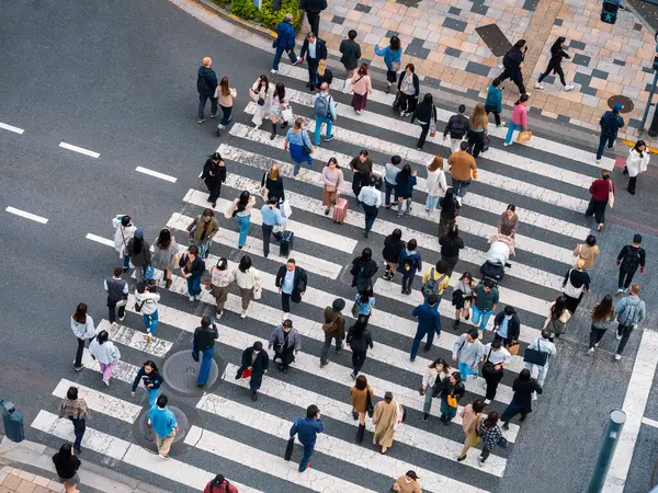 Tokyo caddesinde yaya geçidinde yürüyen insanlar Japonya Ekonomi Bölgesi: Tokyo, Japonya - 12 Kasım 2024 