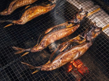 Kömür ocağında ızgara Ayu balığı geleneksel Japon yemeği.