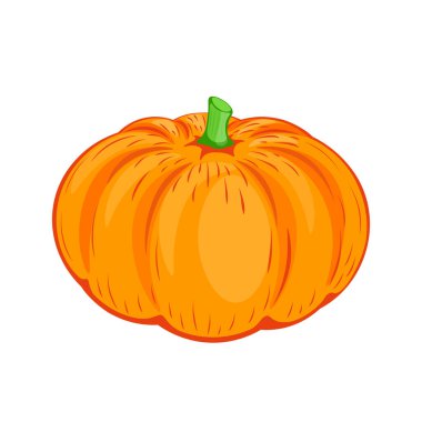 Balkabağı vitamin, yararlı özellikler bakımından zengindir ve yemek pişirme, bitki, sebze, vektör, illüstrasyon, balkabağı, kontür, arka plan, vitamin, izolasyon için mükemmel bir üründür.