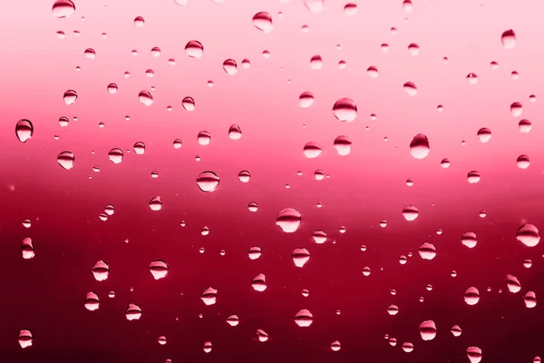 Κακές Σταγόνες Βροχής Στο Παράθυρο Κόκκινη Κλίση Επίδειξη Viva Magenta — Φωτογραφία Αρχείου