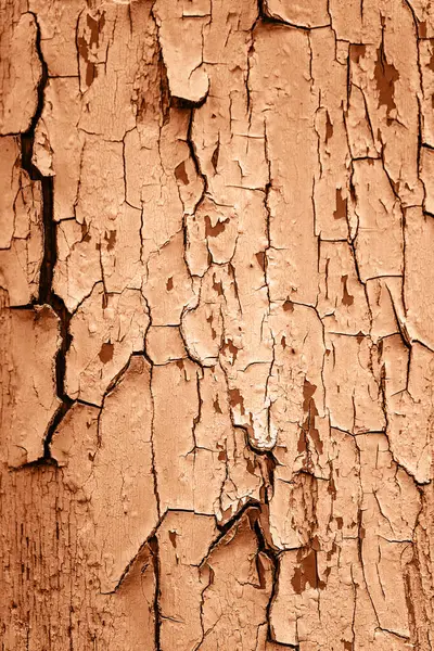 木の壁に割れたペンキのテクスチャ 2024年の色をデモンストレーション ロイヤリティフリーのストック画像