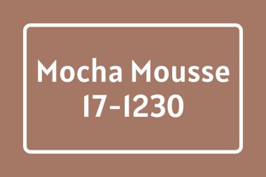 Barselona, İspanya - Aralık 05, 2024. Görüntü, Mocha ve Mousse renk tonunu gözler önüne sererek 2025 tasarım eğilimlerinde popülaritesini vurguluyor. 2025 yılının gösterim rengi.