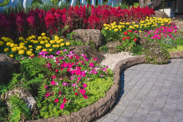 Varias Flores Colores Con Plantas Verdes Jardín Decorativo Suelo Del — Foto de Stock